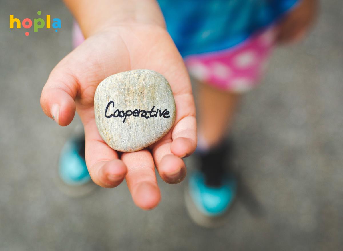 kameň s nápisom cooperative