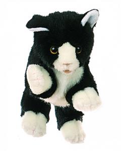 Mačka čierno-biela